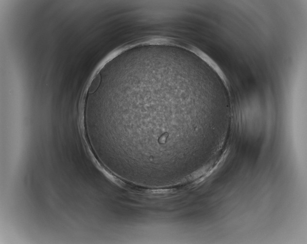 X0000115391437200911101443