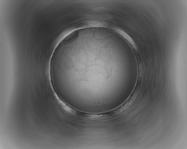 X0000115391439200911101443