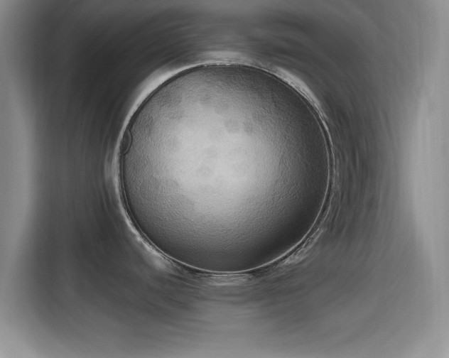 X0000115391440200911101443
