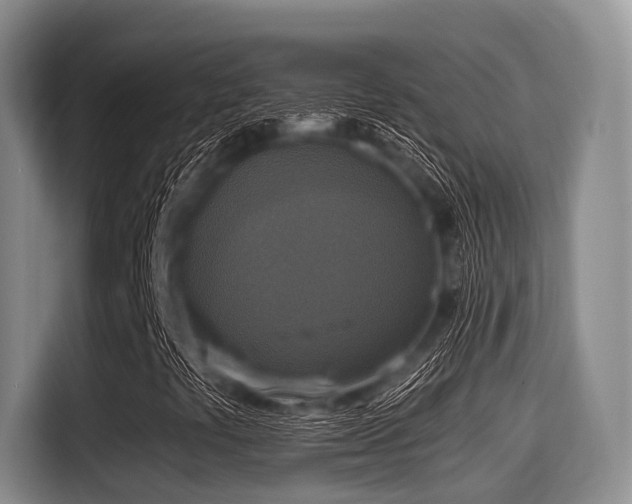 X0000115391441200911101443