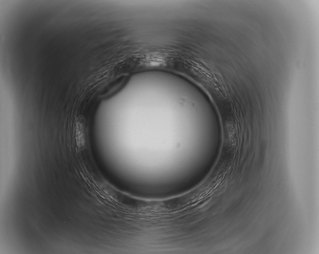 X0000115391442200911101443