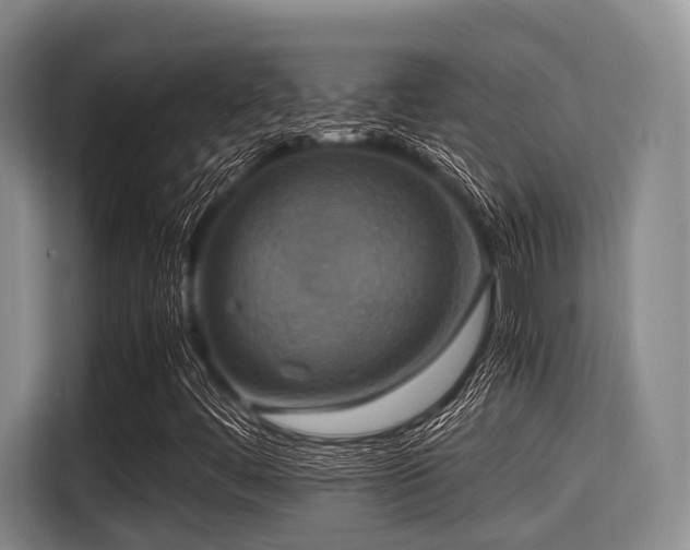 X0000115391444200911101443