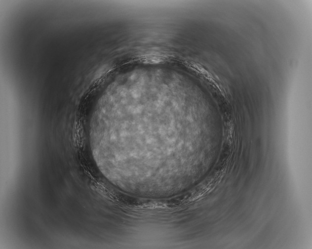 X0000115391446200911101443