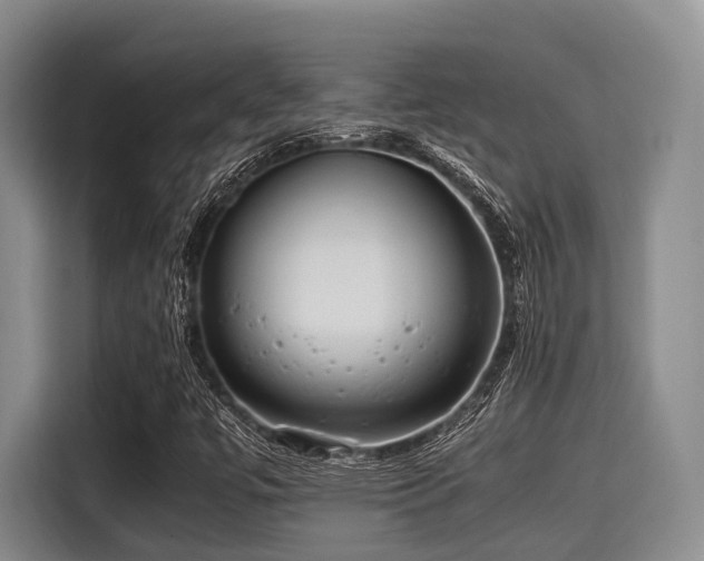 X0000115391447200911101443
