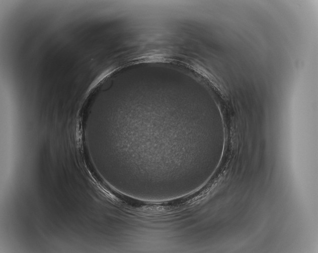 X0000115391450200911101443