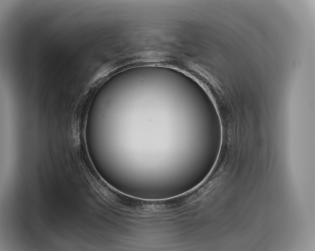 X0000115391451200911101443