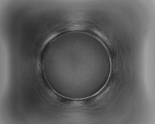 X0000115391453200911101443