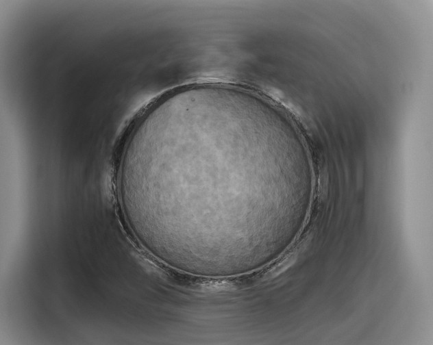 X0000115391454200911101443