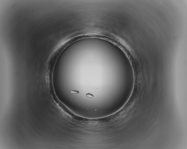 X0000115391456200911101442