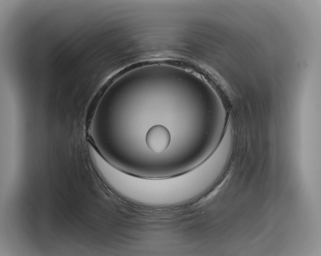 X0000115391457200911101442