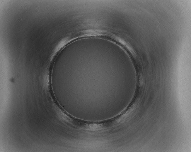 X0000115391459200911101442