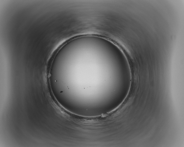 X0000115391460200911101442