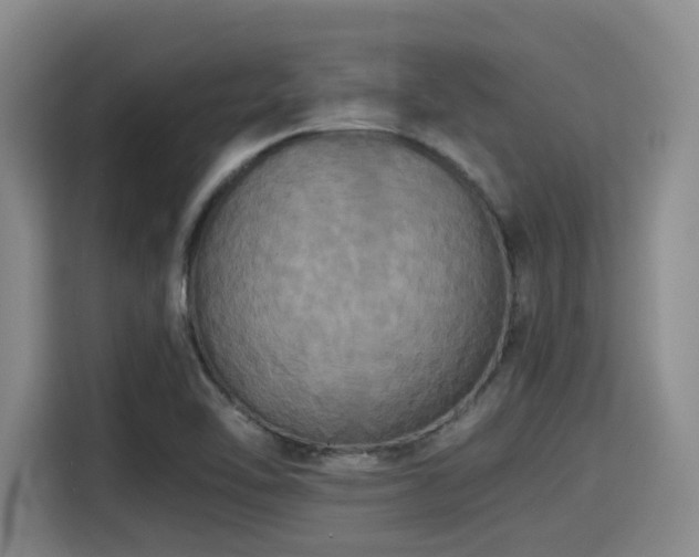 X0000115391462200911101442