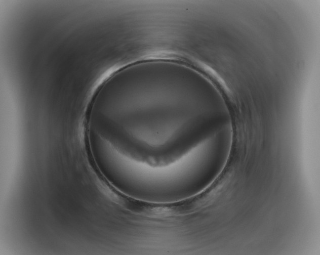 X0000115391463200911101442