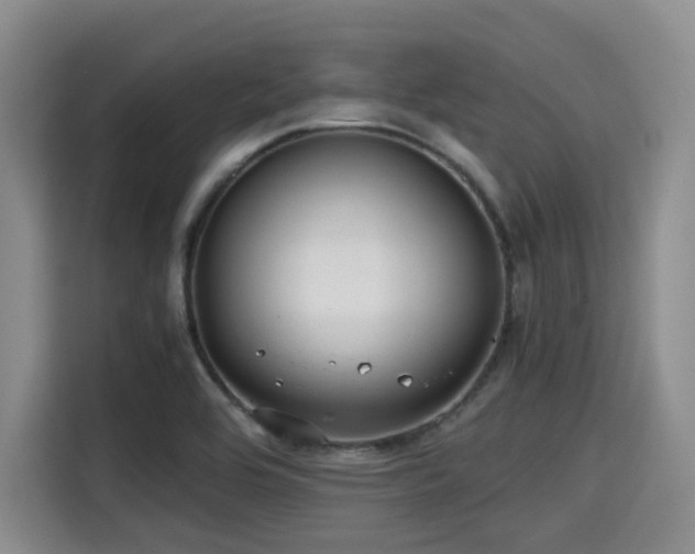X0000115391464200911101442