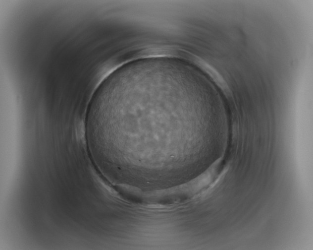 X0000115391465200911101442