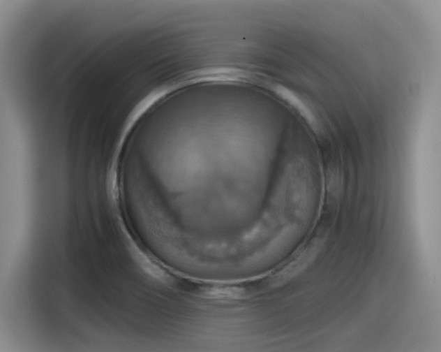 X0000115391466200911101442