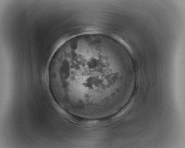 X0000115391467200911101442