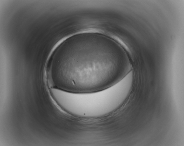 X0000115391468200911101442
