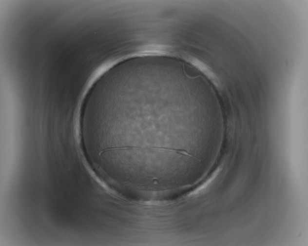 X0000115391469200911101442