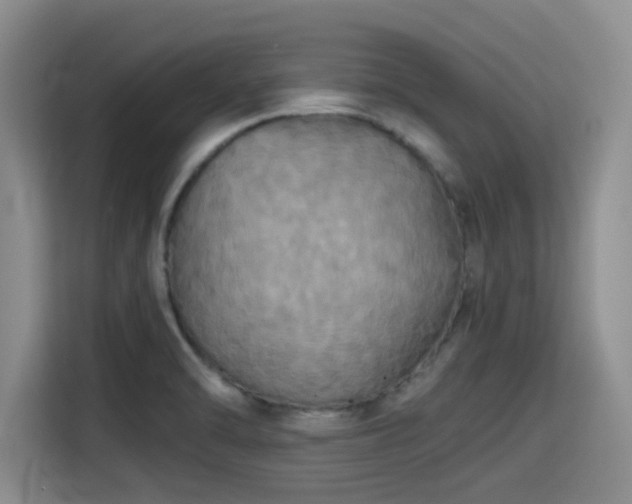 X0000115391470200911101442