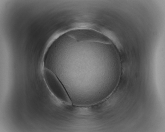 X0000115391472200911101442
