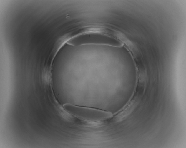 X0000115391473200911101442