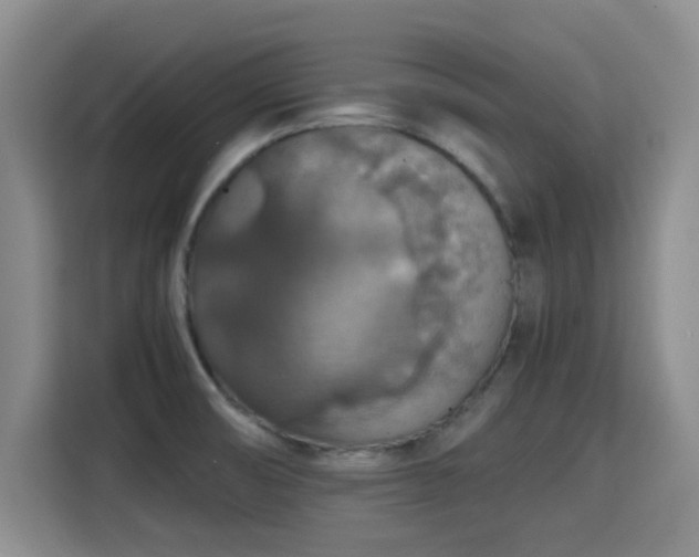 X0000115391474200911101442