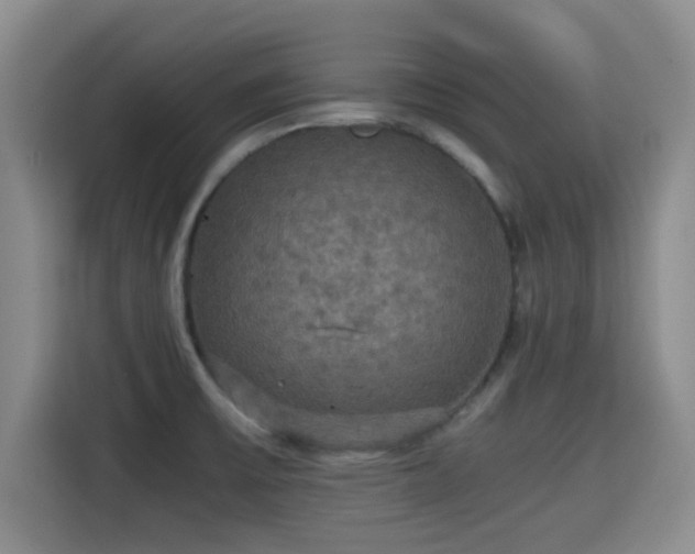 X0000115391475200911101442