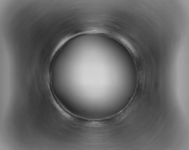 X0000115391476200911101442
