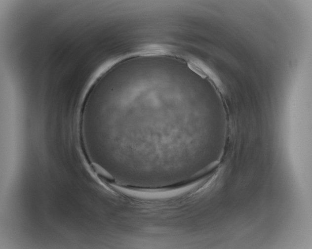 X0000115391477200911101442