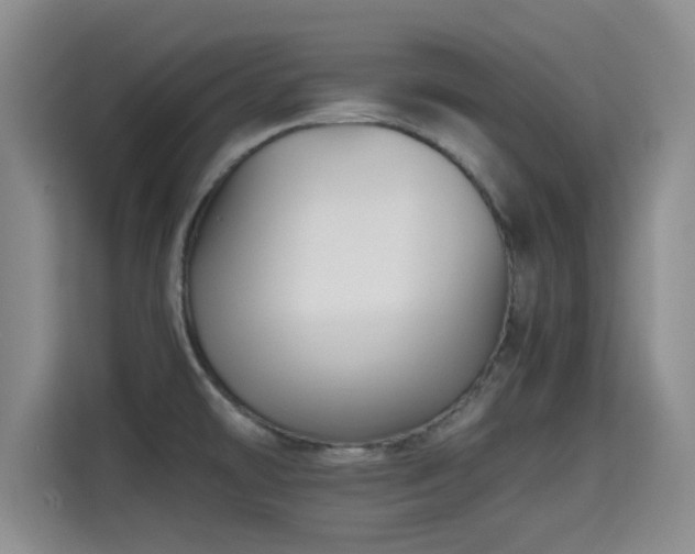 X0000115391478200911101442