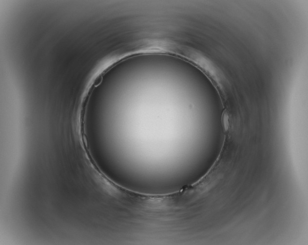X0000115391480200911101442
