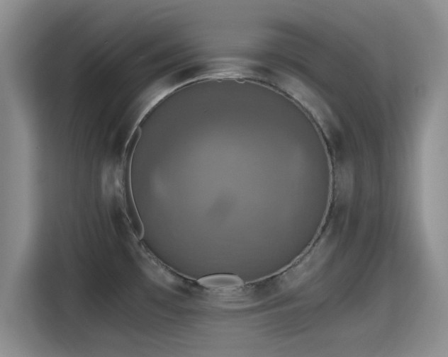 X0000115391481200911101442