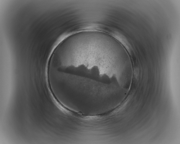 X0000115391482200911101442