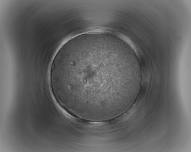 X0000115391483200911101442