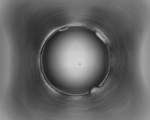 X0000115391484200911101442