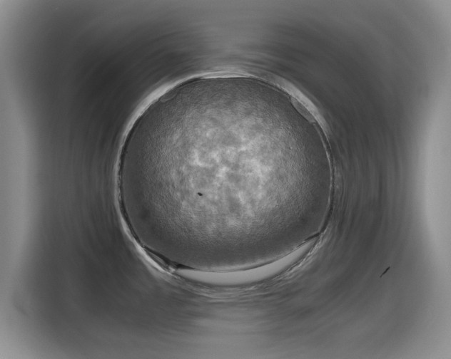 X0000115391485200911101442