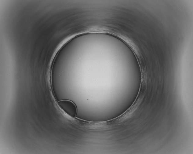 X0000115391486200911101442
