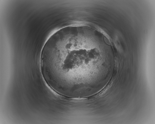 X0000115391487200911101442