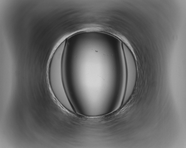X0000115391488200911101442