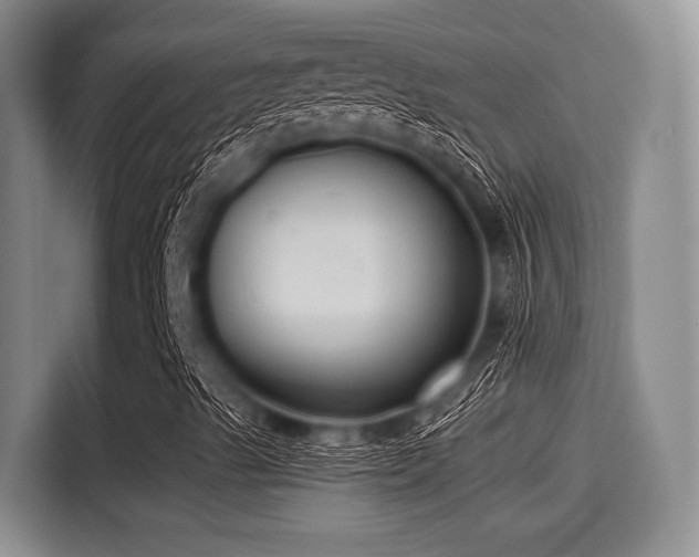 X0000115391489200911101441