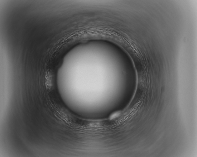 X0000115391490200911101441