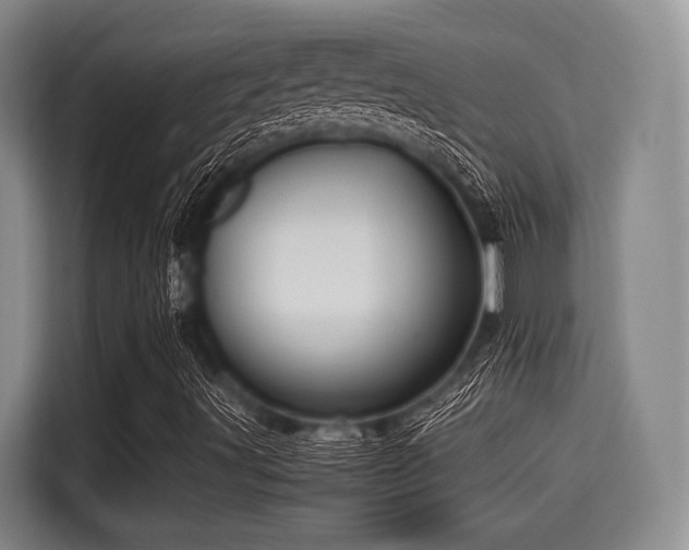X0000115391491200911101441