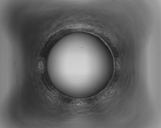 X0000115391493200911101442