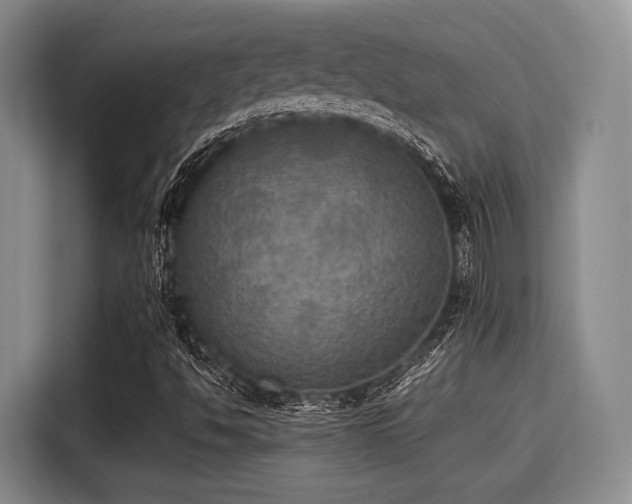 X0000115391494200911101442