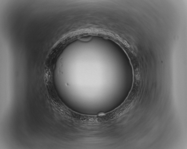 X0000115391495200911101442