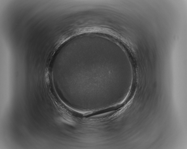 X0000115391497200911101442