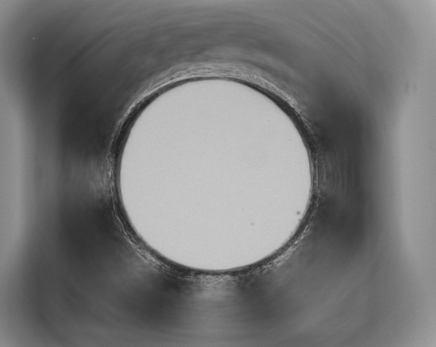 X0000115391498200911101442
