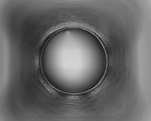 X0000115391499200911101442